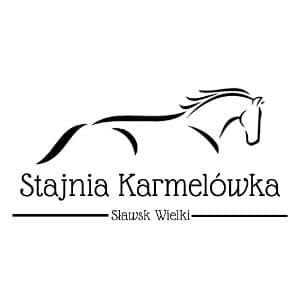 Stable logo