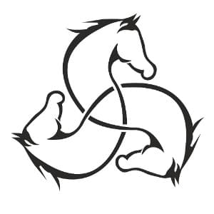 Stajnia Triquetra profile picture
