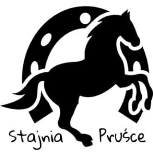 Stable logo